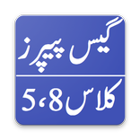 Guess 5th & 8th PEC Model Paper
