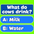 Trivia
