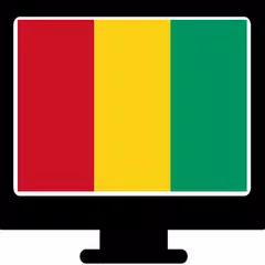 TV guinee en direct rtg APK 下載