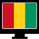 TV guinee en direct rtg APK