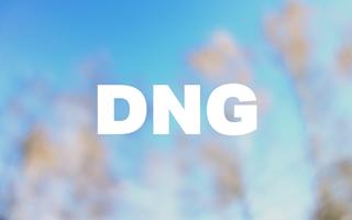 Dng Converter - Dng To jpg & Dng Viewer capture d'écran 2