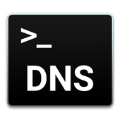 DNS Changer  icon