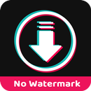 ssstiktok:Video Sin Marca Agua APK