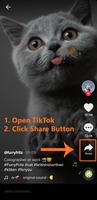 Téléchargeur pour TikTok sans filigrane - TikSave Affiche