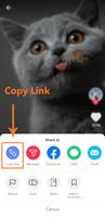 Downloader for TikTok without Watermark - TikSave 截图 1