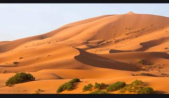 Gurun pasir dunia. Badai pasir screenshot 3