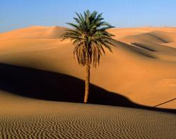Gurun pasir dunia. Badai pasir poster