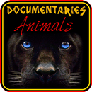 Documentaries of wild animals APK