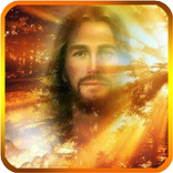 Biblische Dokumentationen auf Video