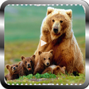 Документальные видеоролики о животных млекопитающи APK