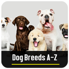 Dog Breeds A-Z icône