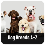 Dog Breeds A-Z ikona