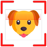 Dog Scanner 🔎🐶 Identify dogs by breed with IA