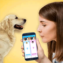 Dog Translator APK