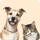 Dog Cat  Translator ไอคอน