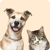 Dog Cat  Translator アイコン