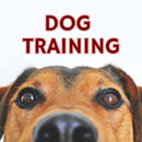Dog Training: The best Dog Tra APK