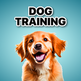 子犬と犬の訓練アプリ