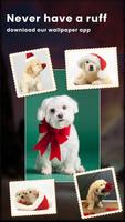1 Schermata Cute Dog Love HD Wallpaper