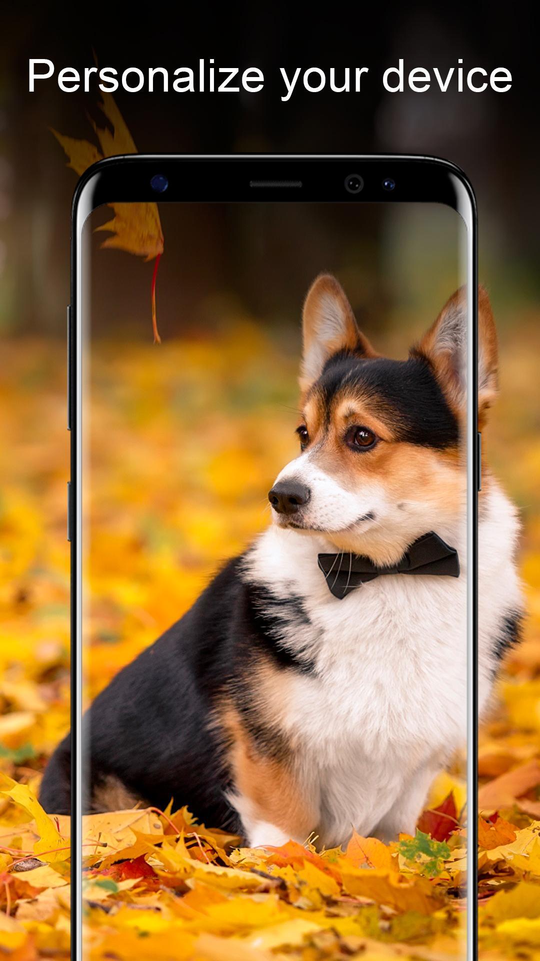 Android 用の 犬の壁紙や背景 Apk をダウンロード