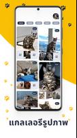 Pet Care Tracker Dog Cat App ภาพหน้าจอ 3