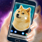 Doge Meme On Screen Prank 图标