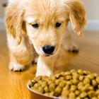 Dog Food Recipes and Packaged  icon