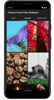 Dog Licks Screen Video Theme 截图 2