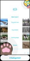 Guess the dog breed poster