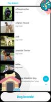 Guess the dog breed screenshot 1