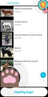 Guess the dog breed screenshot 3