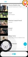 犬クイズ クイズ 💡 (日本の) スクリーンショット 1