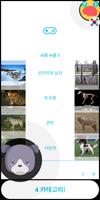 개 퀴즈 퀴즈 💡 (한국의) 포스터