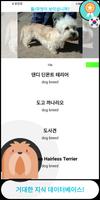개 퀴즈 퀴즈 💡 (한국의) 스크린샷 2