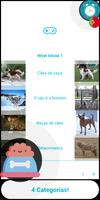 Quiz De Cão Quiz 💡 (português Cartaz