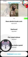 Quiz De Cão Quiz 💡 (português imagem de tela 2