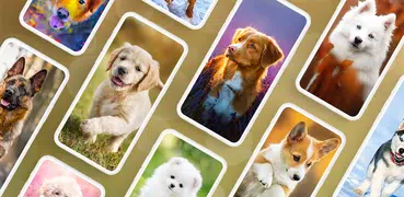 Hintergrundbilder mit Hunde 4K