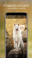 برنامه‌نما Dog Wallpapers & Puppy 4K عکس از صفحه