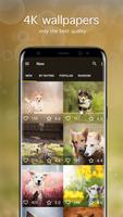 Dog Wallpapers & Puppy 4K Ekran Görüntüsü 1