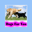 Dogs For You APK