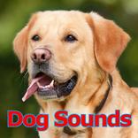 Dog Sounds