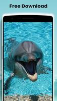 Dolphine wallpaper ภาพหน้าจอ 1