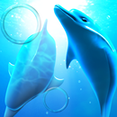 Dolphin LiveWallpaper Trial aplikacja