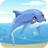 Dolphin Show Funny Moves Aquarium Free