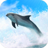 Dolphins 3D. Live Wallpaper. Zeichen