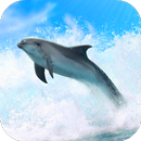 Dolphins 3D. Live wallpaper. APK