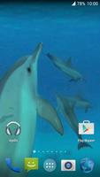 Dolphins. Live Video Wallpaper الملصق