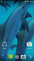 Dolphins. Live Video Wallpaper capture d'écran 1