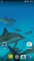 Dolphins. Live Video Wallpaper स्क्रीनशॉट 2