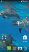 Dolphins. Live Video Wallpaper تصوير الشاشة 3